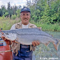Catch a salmon fishing the Kenai River