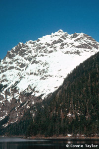 Kenia Peninsula Snow-Covered Mountain