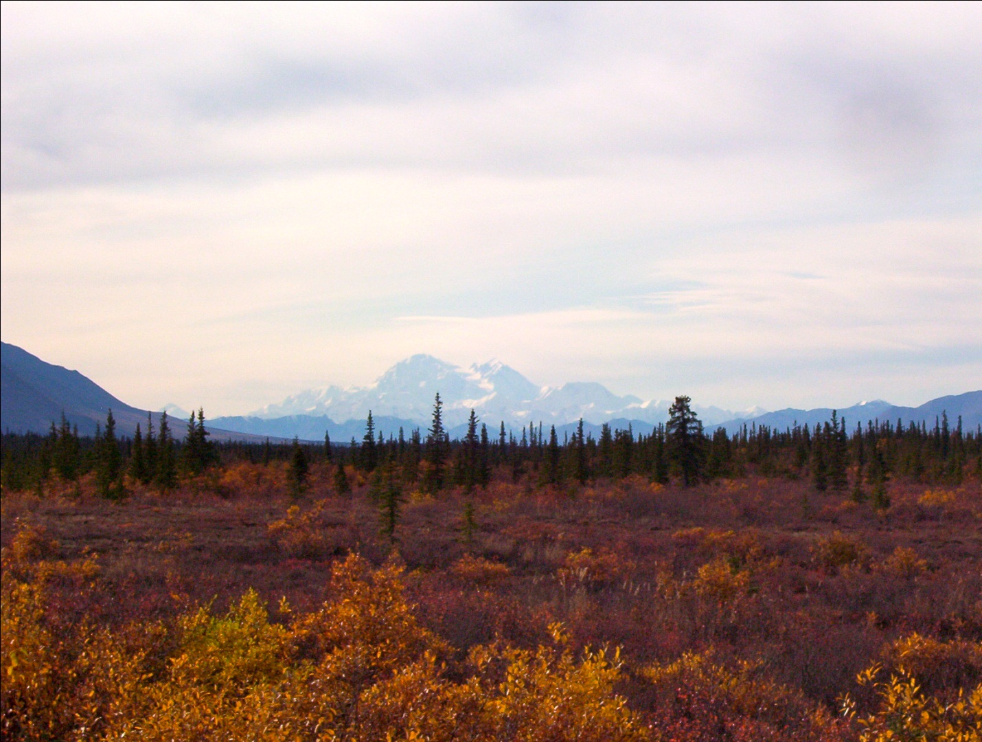 Field Denali National Park offers a wide array of gorgeous natural colors (Wikimedia Commons)