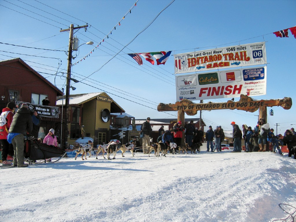 Iditarod2006 Photo credit: http://www.nomenuggetinnhotel.com/